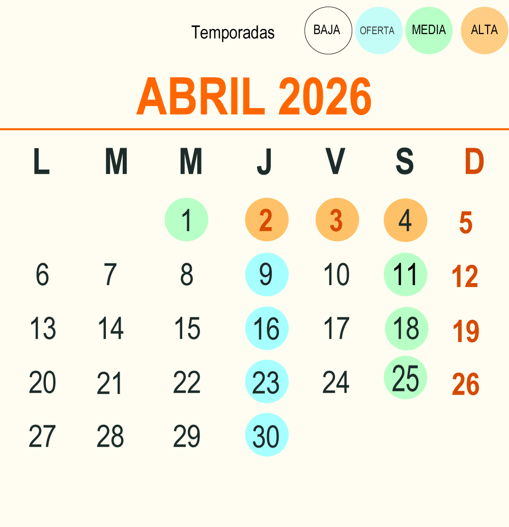 202604