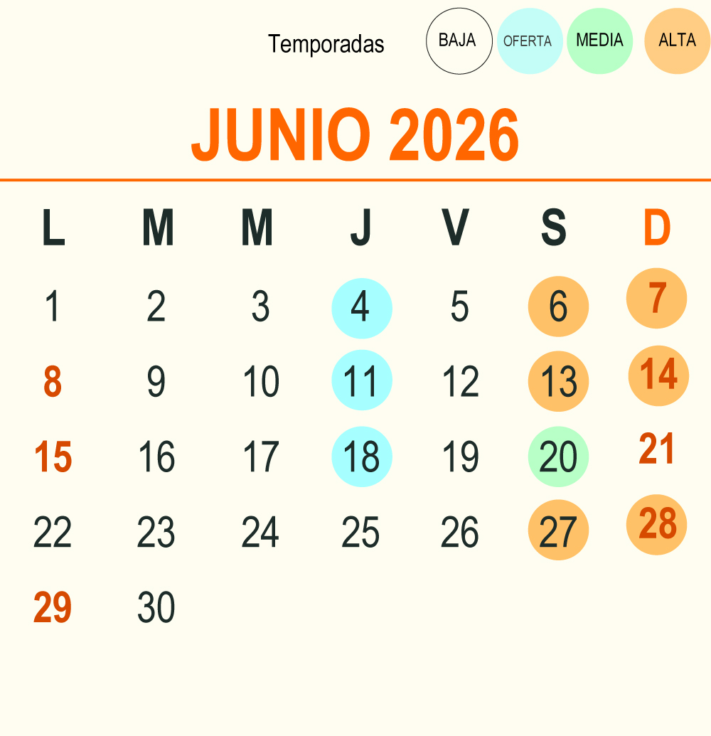 202606