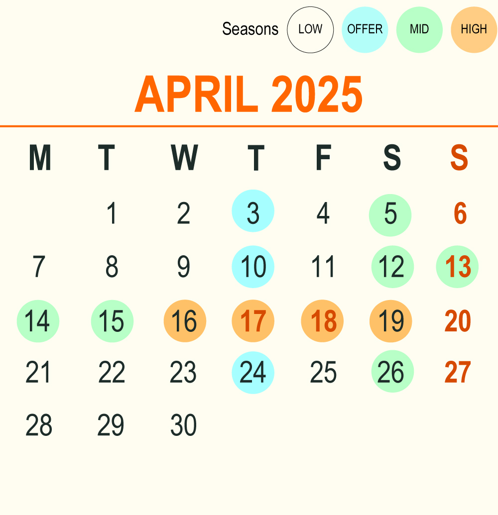 202504