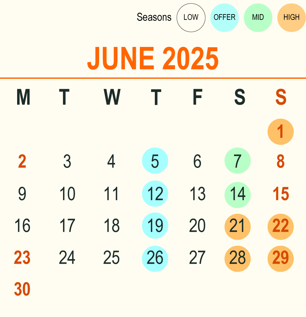 202506