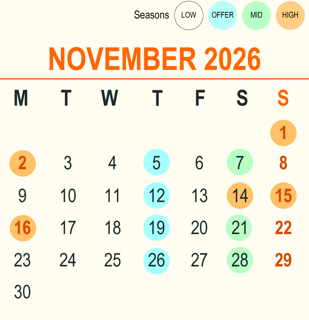 202611