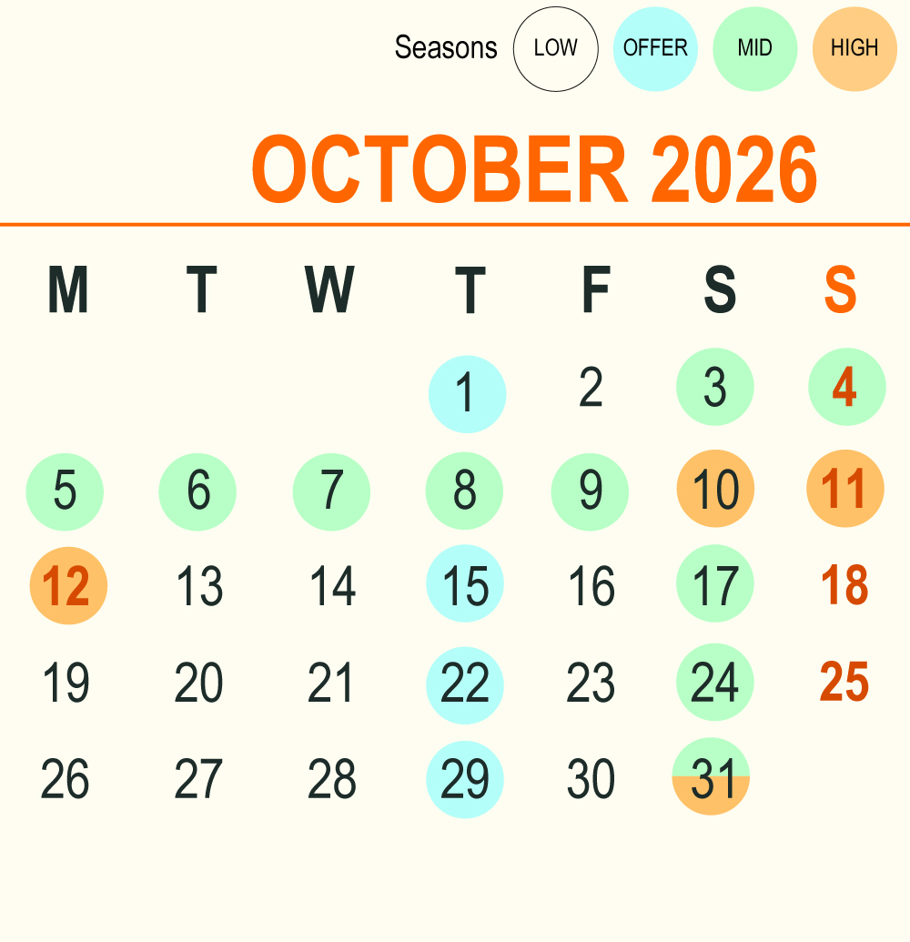 202610