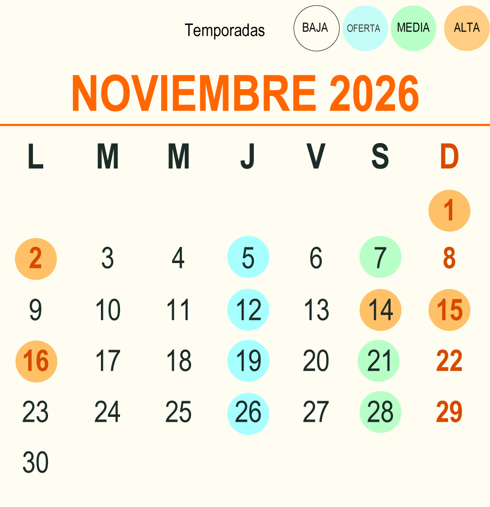 202611
